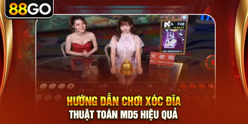 Hướng dẫn chơi xóc đĩa thuật toán MD5 hiệu quả